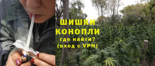 МДПВ Карпинск